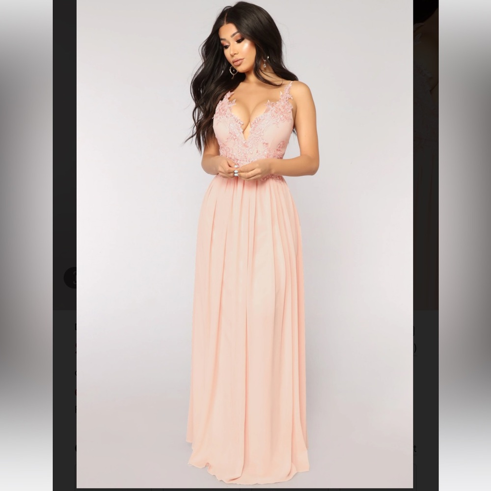 Blush Embroidered Gown